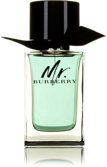 Eau de Toilette BURBERRY Mr. Burberry EdT