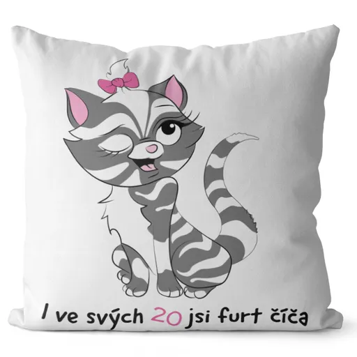 Polštář Jsi číča (Velikost: 40 x 40 cm, věk: 20)