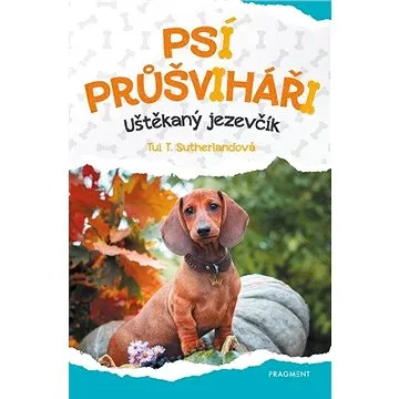 Psí průšviháři Uštěkaný  jezevčík (978-80-253-4789-8)