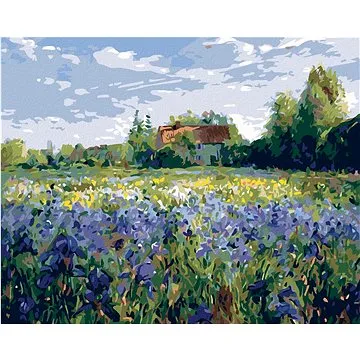 Malování podle čísel - Dům na venkově (HRAmal00618nad)