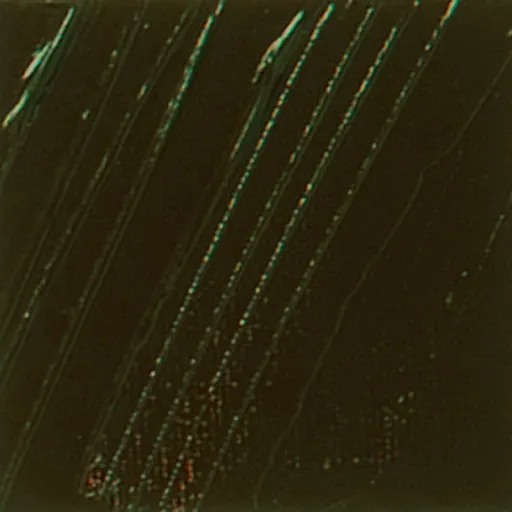 Olejová barva Pébéo XL 200ml – 29 raw umber