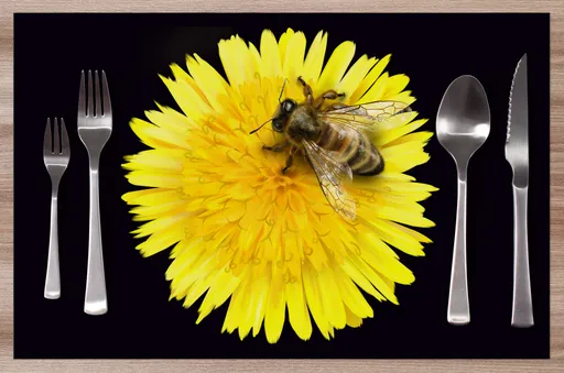 Prostírání Včela na pampelišce