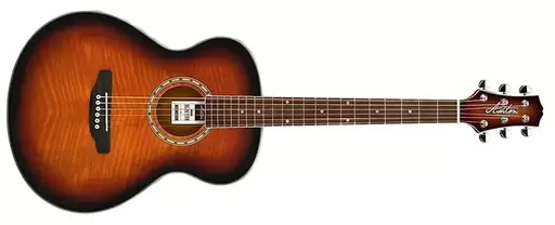 Ashton SL29 barva TSB (tobacco sunburst)