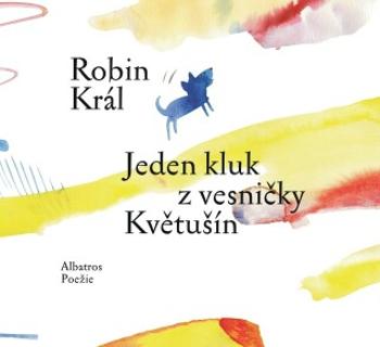 Jeden kluk z vesničky Květušín - Robin Král - e-kniha