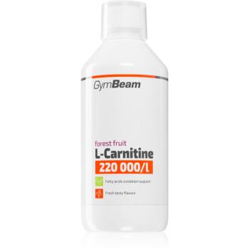 GymBeam L-Carnitine 220 000 mg/l spalovač tuků příchuť Forest Fruit 500 ml