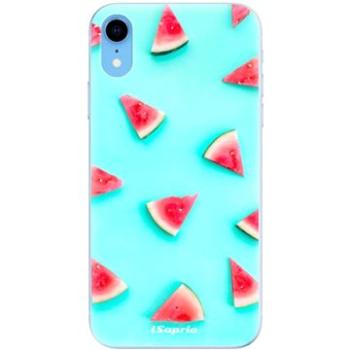 iSaprio Melon Patern 10 pro iPhone Xr (melon10-TPU2-iXR)