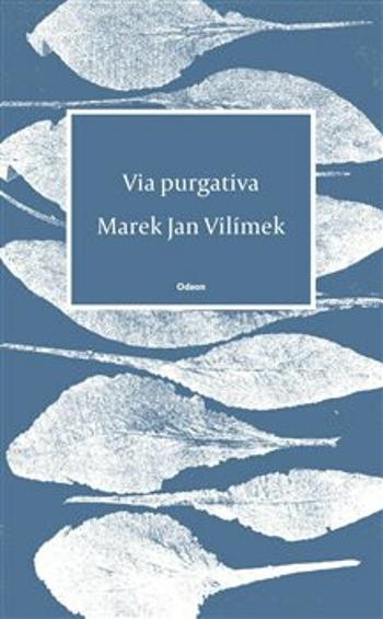 Via purgativa - Vilímek Marek Jan - e-kniha