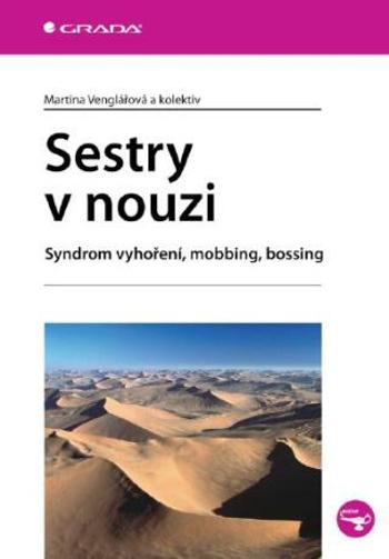 Sestry v nouzi - Martina Venglářová - e-kniha