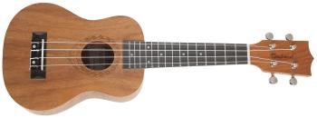 Tanglewood TWT 2