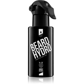 Angry Beards Beard Hydro tonikum na vousy 100 ml