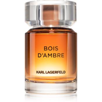 Karl Lagerfeld Bois d´Ambre toaletní voda pro muže 50 ml