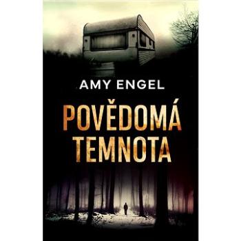 Povědomá temnota (978-80-759-3193-1)