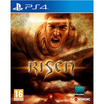 Risen - PS4 (9120080079015)