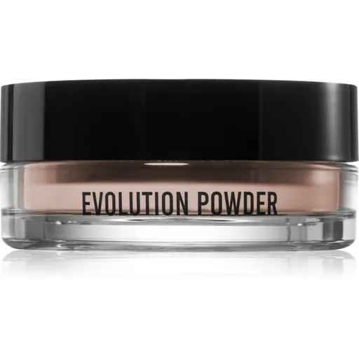 Danessa Myricks Beauty Evolution Powder sypký transparentní pudr odstín #2 11 g