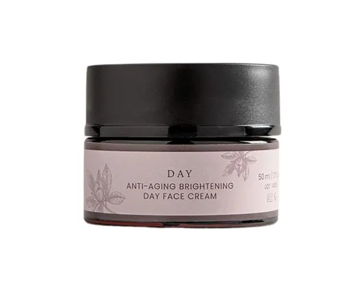 Officina Fitobiologica Day Cream rozjasňující krém proti vráskám 50 ml