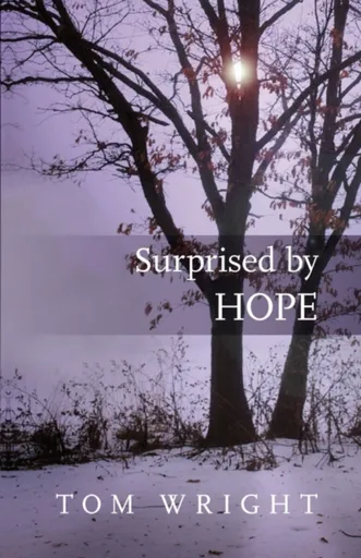 Surprised by Hope - Tom Wright