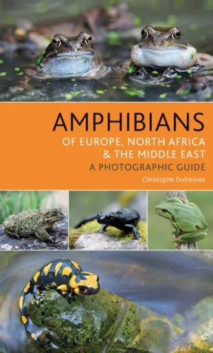 Amphibians of Europe, North Africa and the Middle East - Dufresnes Christophe