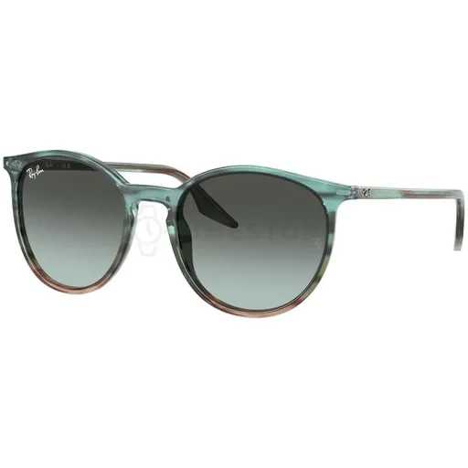 Ray-Ban  RB2204 1394GK 54