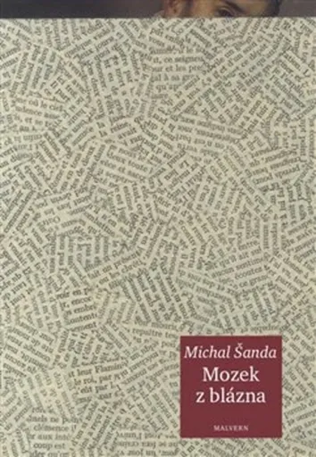 Mozek z blázna - Michal Šanda