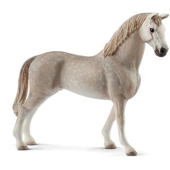 Schleich Holštýnský valach 13859 (4055744021343)