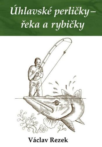 Úhlavské perličky – řeka a rybičky - Václav Rezek