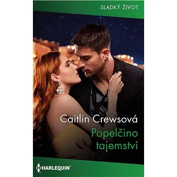 Popelčino tajemství (999-00-031-7305-8)