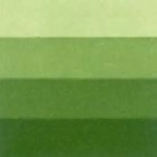 Grafická barva Charbonnel 200ml – medium green