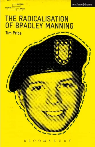 The Radicalisation of Bradley Manning - Tim  Price