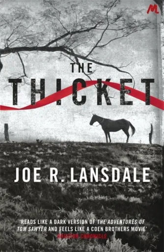 The Thicket - Joe R. Lansdale