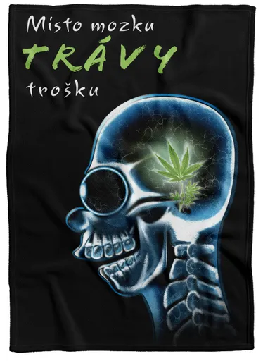 Deka Místo mozku trávy trošku (Podšití beránkem: NE)