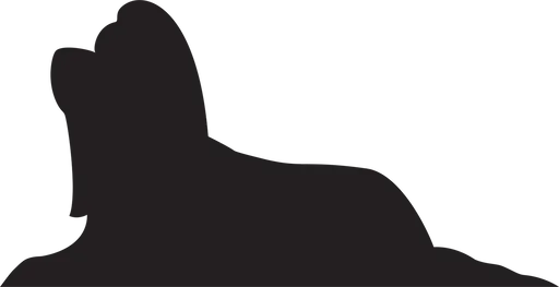 Vsepropejska Shih-tzu 2 dřevěná dekorace na zeď Rozměr (cm): 19 x 38