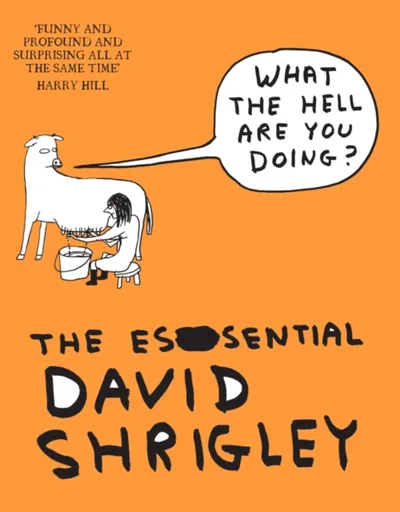 What The Hell Are You Doing?: The Essential David Shrigley - David Shrigley