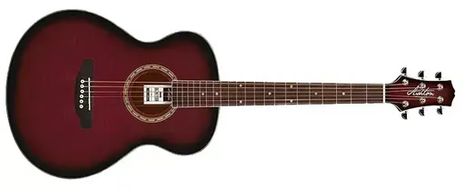 Ashton SL29 barva WRS (vínový sunburst)