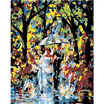 Malování podle čísel - Nevěsta s ženichem v dešti (HRAmal00491nad)