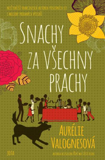 Snachy za všechny prachy (Defekt) - Aurélie Valognes