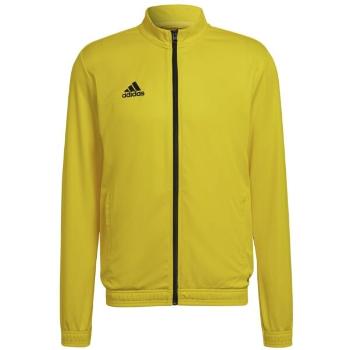 adidas ENTRADA 22 TRACK JACKET Pánská fotbalová mikina, žlutá, velikost