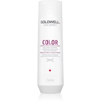 Goldwell Dualsenses Color šampon pro ochranu barvených vlasů 250 ml