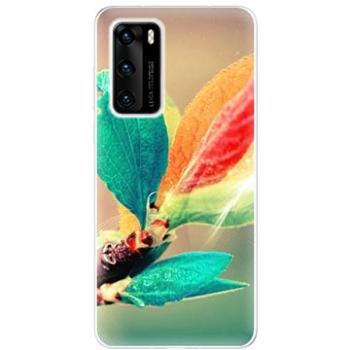 iSaprio Autumn pro Huawei P40 (aut02-TPU3_P40)