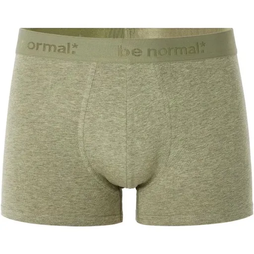 CELIO BINORMAL Pánské spodní prádlo, zelená, velikost