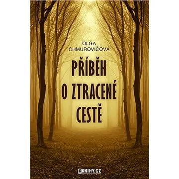 Příběh o ztracené cestě (999-00-017-8777-6)