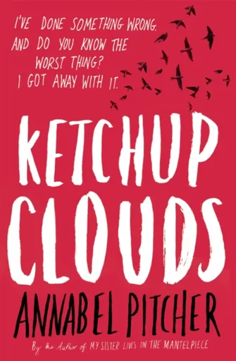 Ketchup Clouds - Annabel Pitcher
