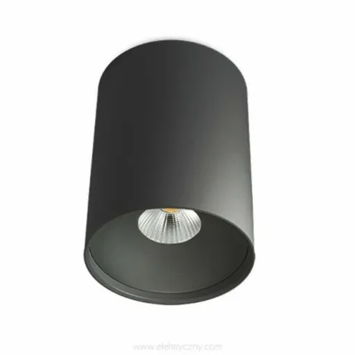 BPM Stropní svítidlo Butup 9053 černá polomatná 9053.02.SR.BK.D40.3K 9053.02.SR.D40.3K