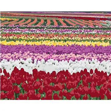 Zuty - Malování podle čísel - POLE TULIPÁNŮ (DENNIS FRATES), 80x100 cm, vypnuté plátno na rám (HRAmmb03685nad)