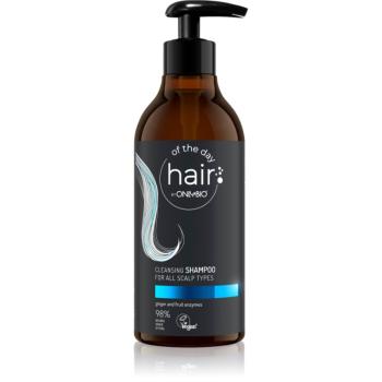 OnlyBio Hair Of The Day hloubkově čisticí šampon pro všechny typy pokožky 400 ml