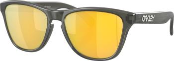 Oakley Frogskins XS 90063753 Matte Grey Smoke/Prizm 24K Polar Lifestyle brýle