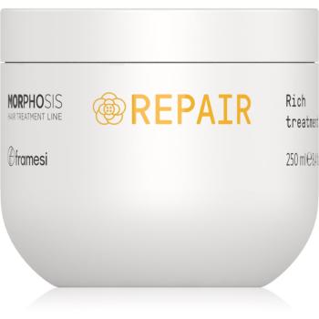 Framesi Morphosis Repair regenerační maska na vlasy pro poškozené vlasy 250 ml