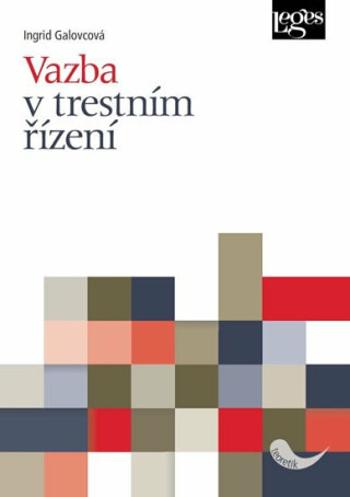 Vazba v trestním řízení - Ingrid Galovcová