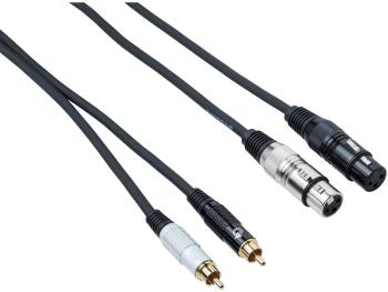 Bespeco EAY2F2R300 3 m Audio kabel