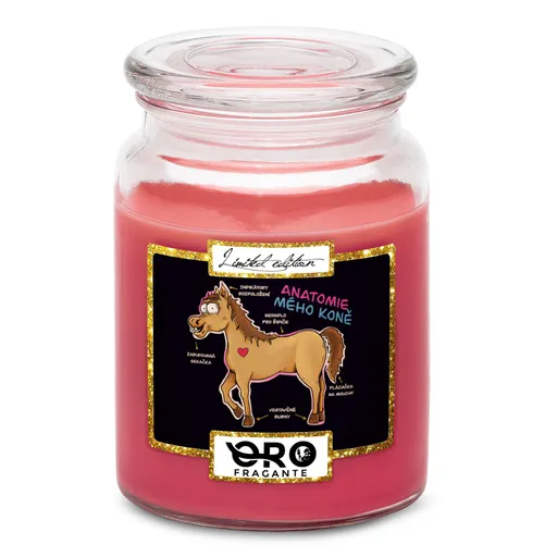Svíčka Anatomie mého koně (Vůně svíčky: Višně v čokoládě)
