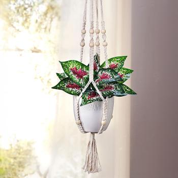 Weltbild Umělá rostlina v květináči a makramé závěsu